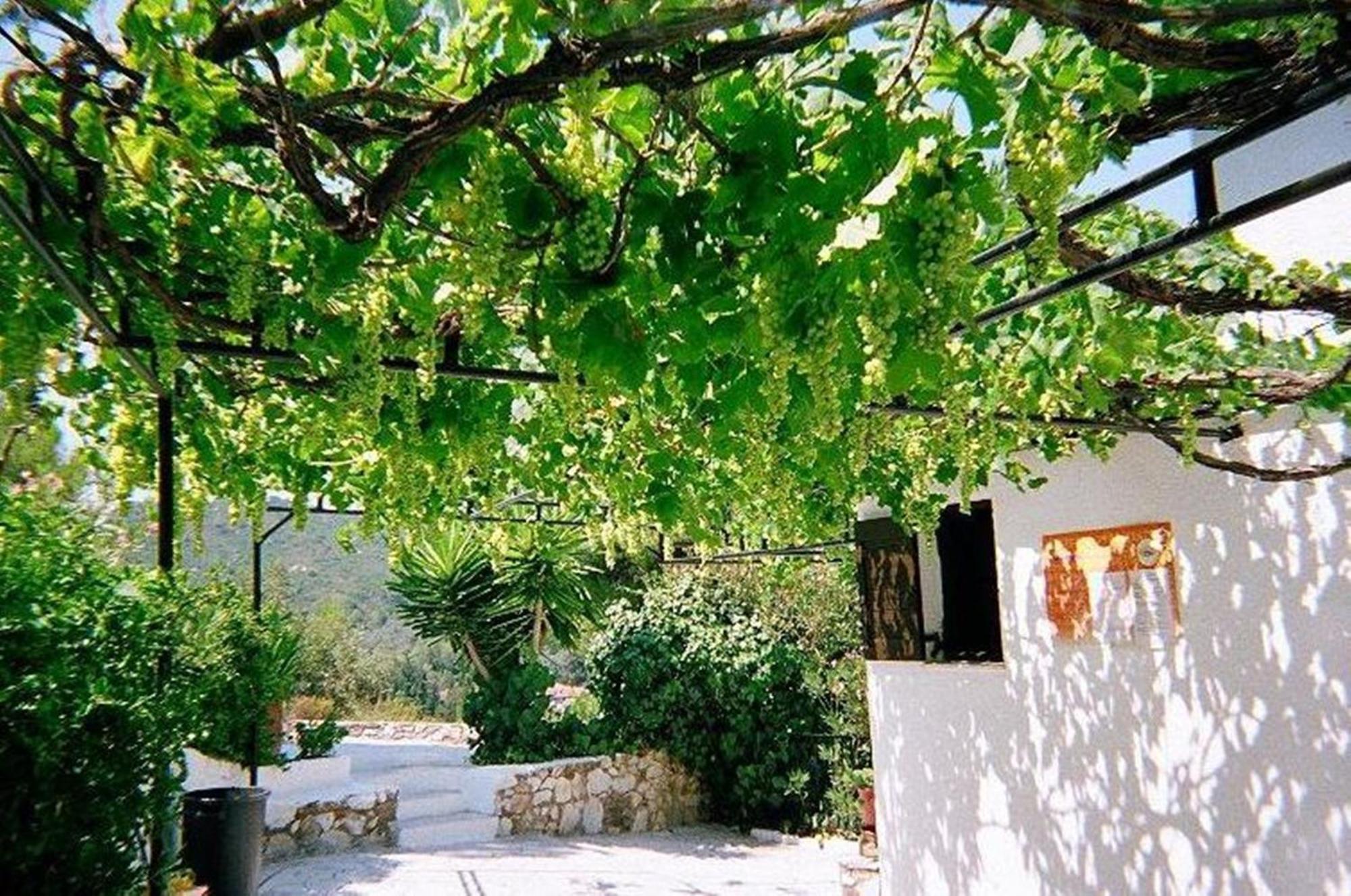 Villa Elpiniki Troulos Exterior photo